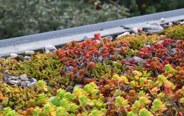the cost of Playden green roof installation