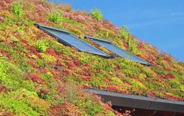 Playden living roof systems